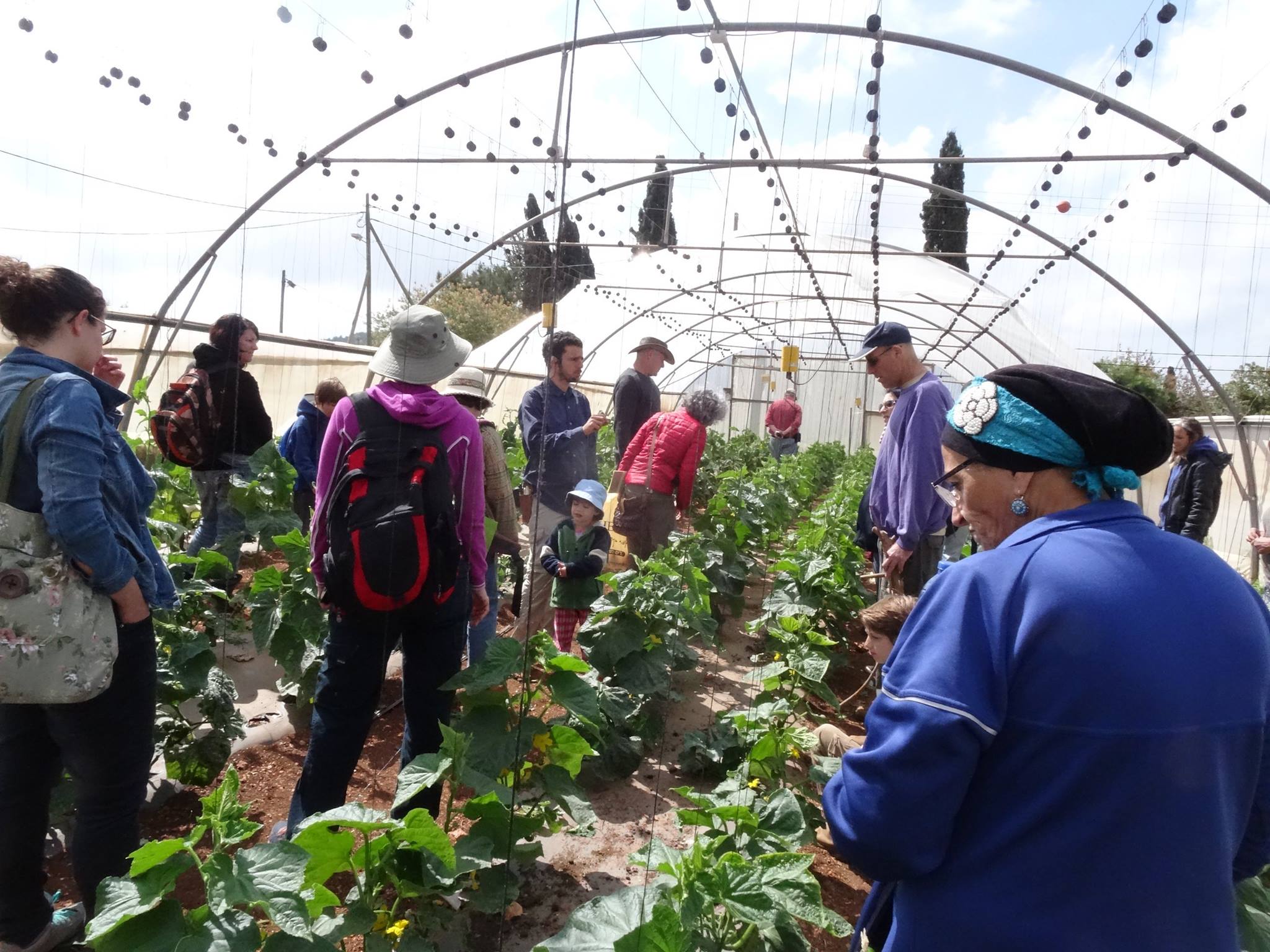 גינות קהילתיות | קורס להקמת גינה | מועצה אזורית משגב | קול קורא