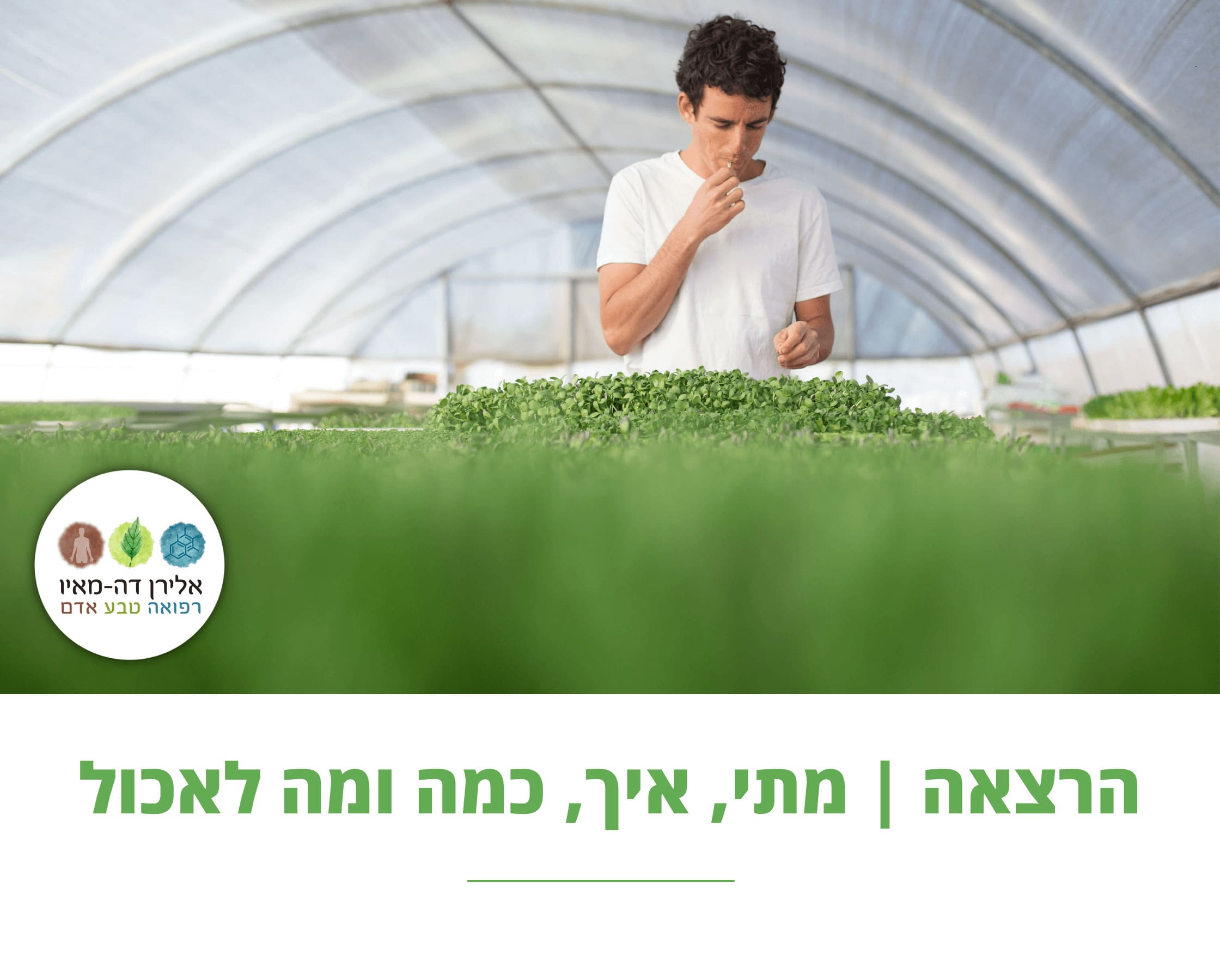 מתי, איך, כמה ומה לאכול | תזונה נכונה | אורגנית | וידאו מכנס אוכלים בריא