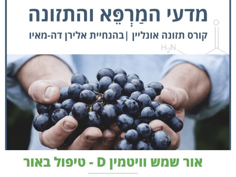 אור שמש וויטמין D